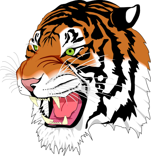 Tests/W3CTestSuite/png/__tiger.png