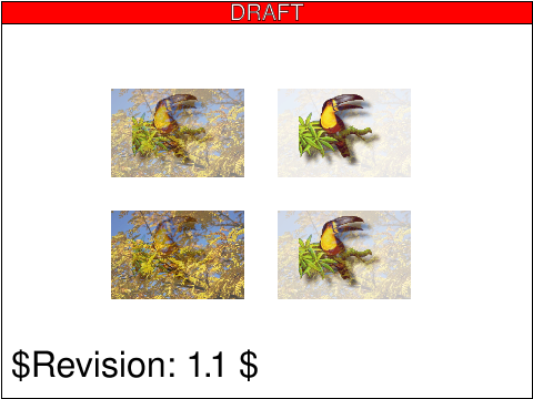 Tests/W3CTestSuite/png/filters-composite-04-f.png
